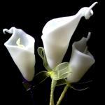 Calla Lilly Flower Soap Wed..