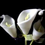 Calla Lilly Flower Soap Wed..