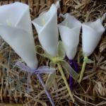 Calla Lilly Flower Soap Wed..